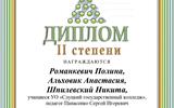 новый 1